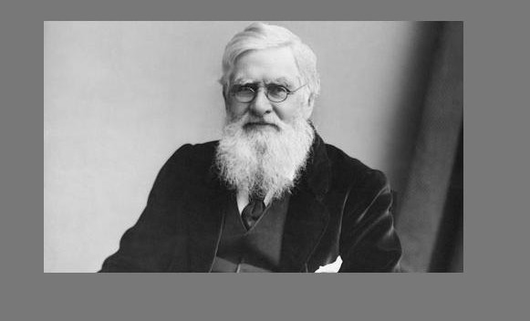 Alfred Russel Wallace