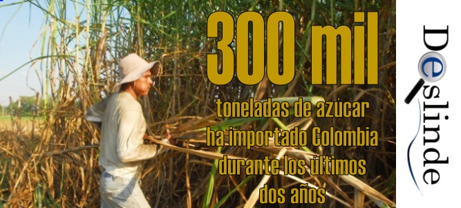 “El Estado tiene la obligación de proteger al sector agrícola”